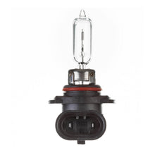 Globe 12V 60W H/L HB3 Plastic Base Halogen (ea)