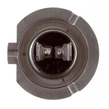 Globe 12V 55w H/L H7 Halogen (ea)