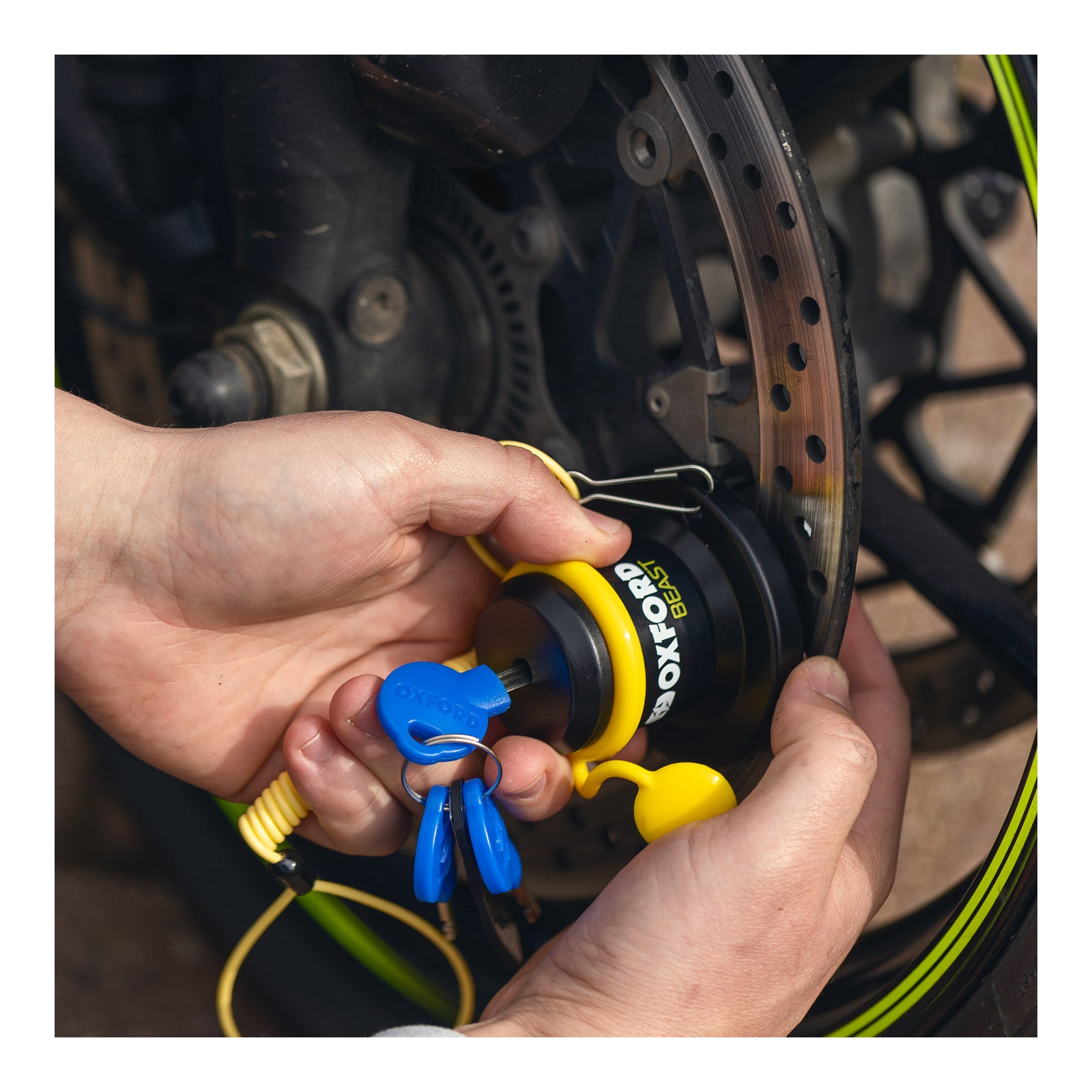 Oxford Beast Disc Lock