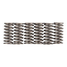 Premier Clutch Springs - Heavy Duty