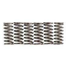 Premier Clutch Springs - Heavy Duty