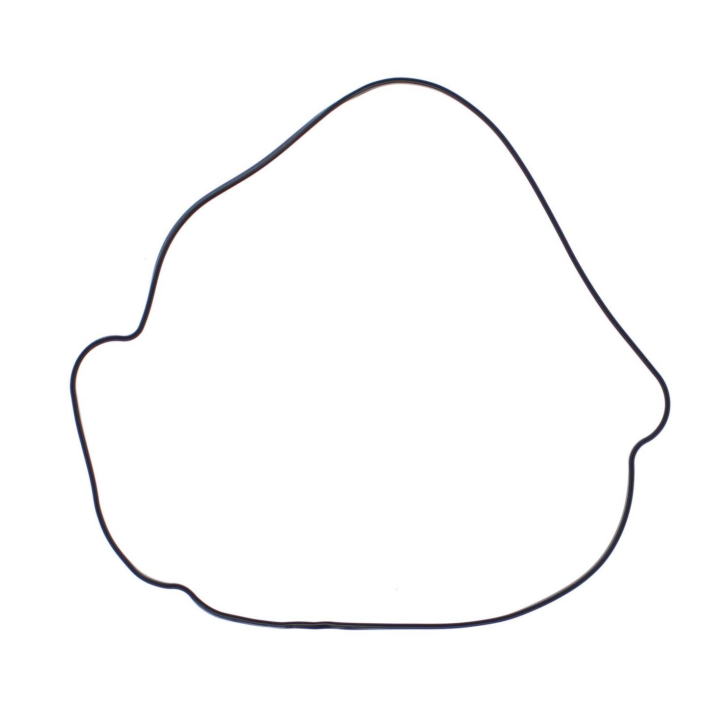 Outer Clutch Gasket Kit 817987