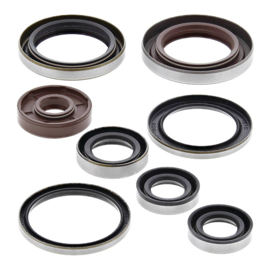 Oil Seal Kit 822320