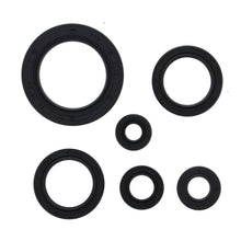 Oil Seal Kit 822978