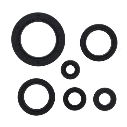 Oil Seal Kit 822978