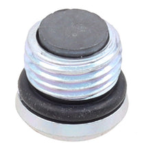 Whites Magnetic Drain Plug M10 x 6.9 - P1.0