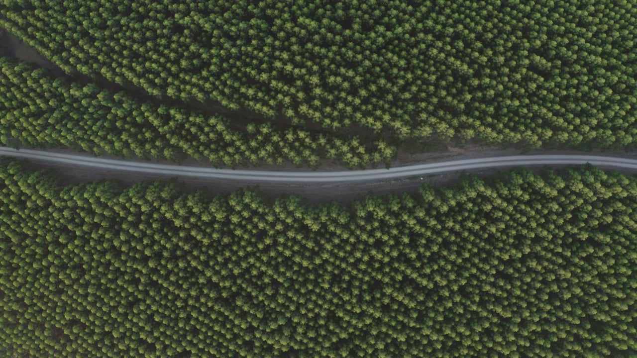 Charger la vidéo : 