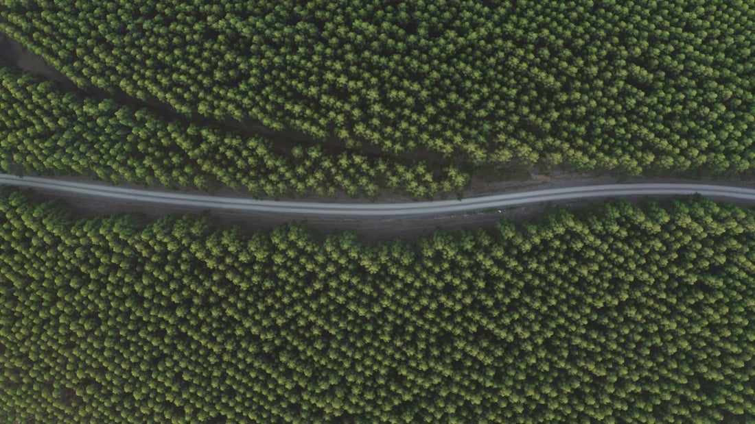 Charger la vidéo : 